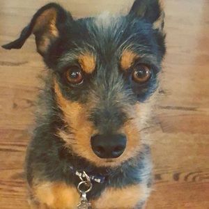 Meet your Posher, Krysta